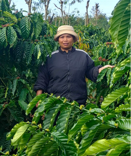 Trong vườn xen canh